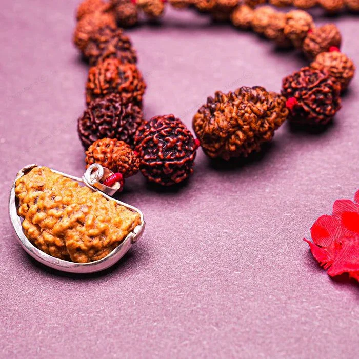1-14 Mukhi Rudraksha Mala (Siddha Mala) - Image 6