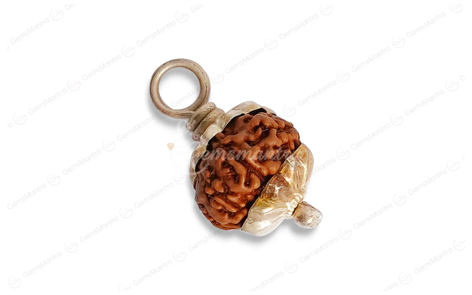10 Mukhi Rudraksha – Original Indonesian Bead - Image 6