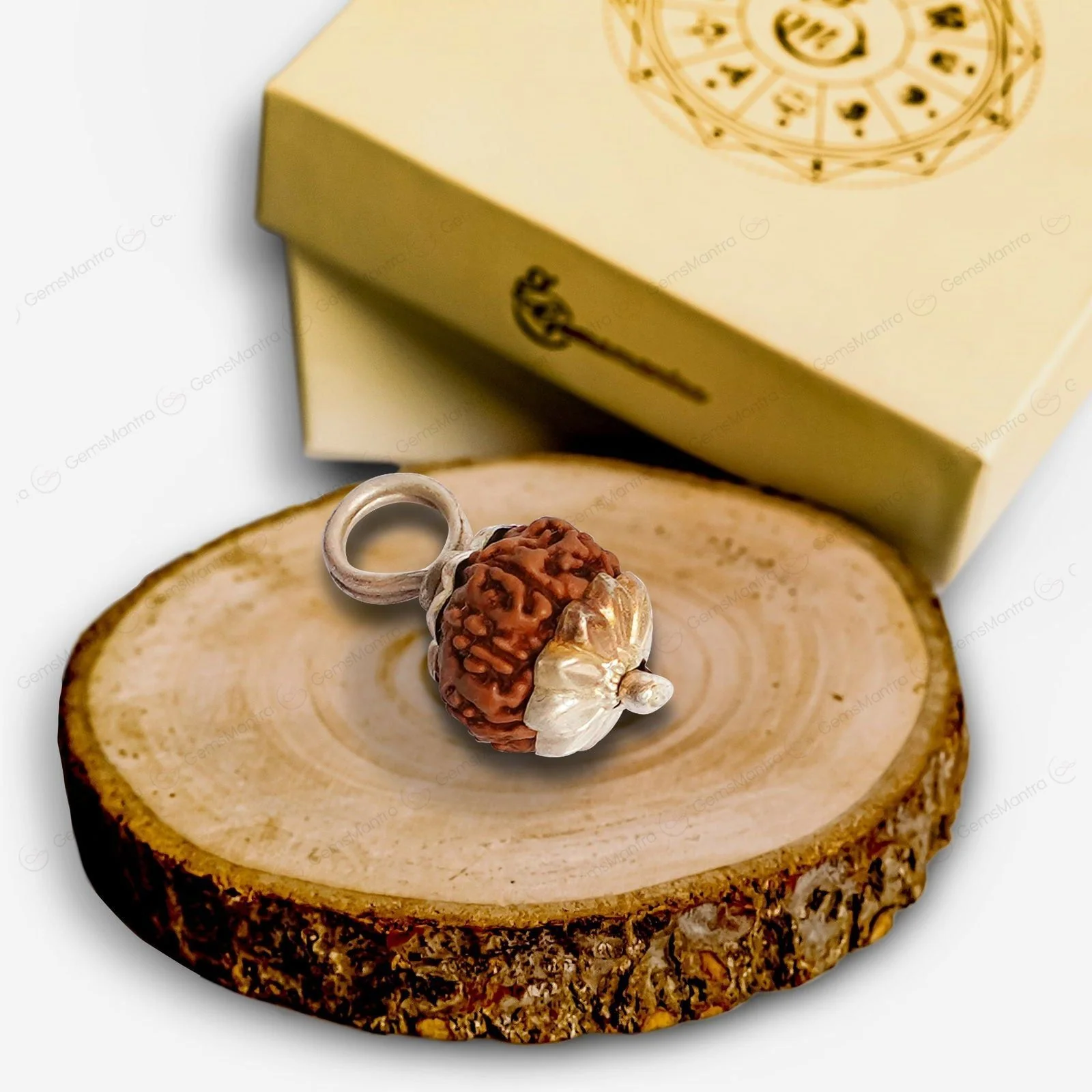 10 Mukhi Rudraksha – Original Indonesian Bead - Image 9