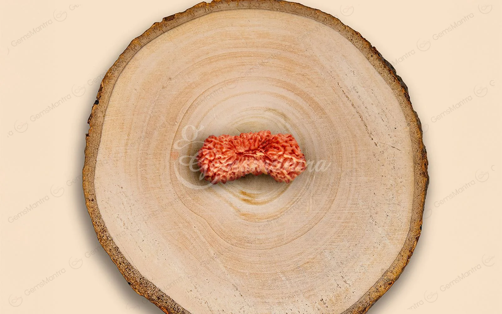 Natural 27 Mukhi Rudraksha – Original Indonesian Bead - Image 5
