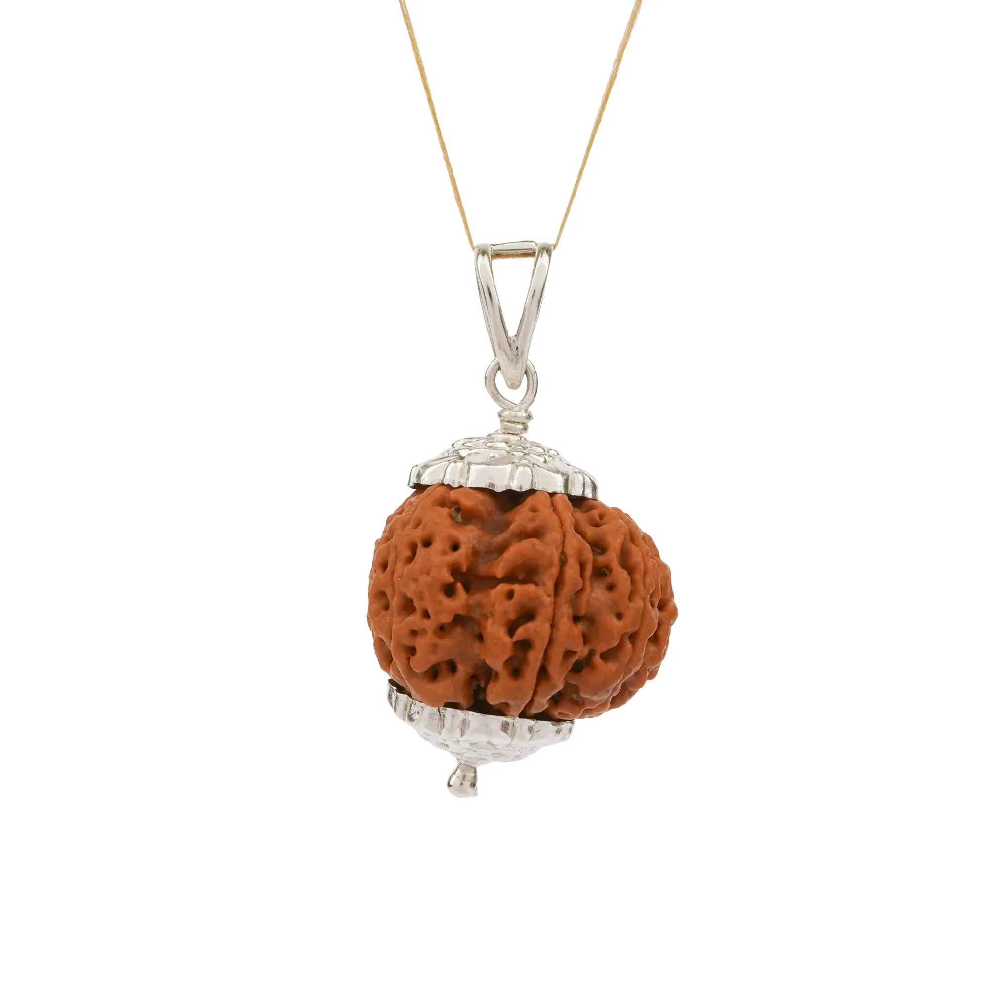 8 Mukhi Rudraksha – Original Nepali Bead - Image 4