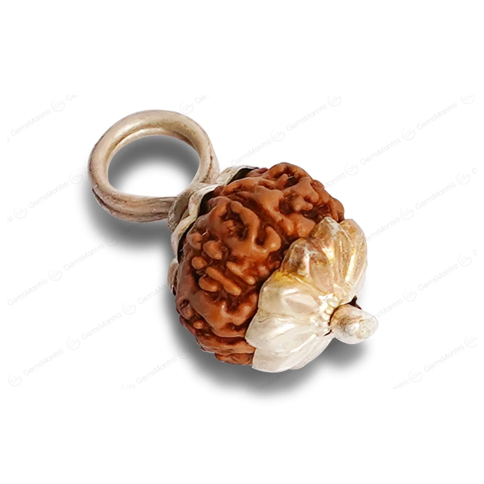 9 Mukhi Rudraksha – Original Indonesian Bead - Image 8