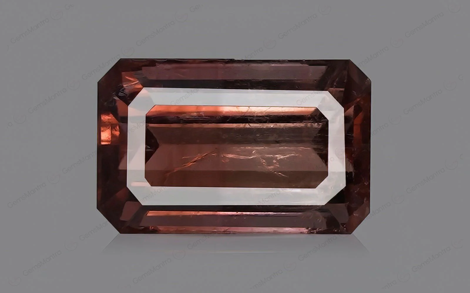 Bi Color Tourmaline – 3.76 Carat / 4.1 Ratti [GM01172]