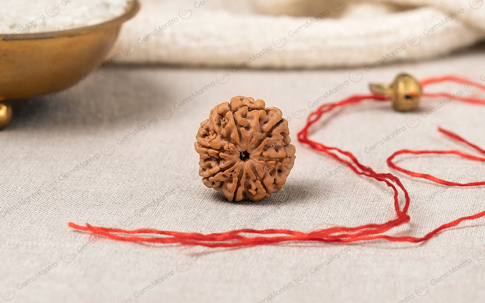 Complete Abundance Kit — 5 & 7 Mukhi Rudraksha + Citrine Bracelet - Image 3