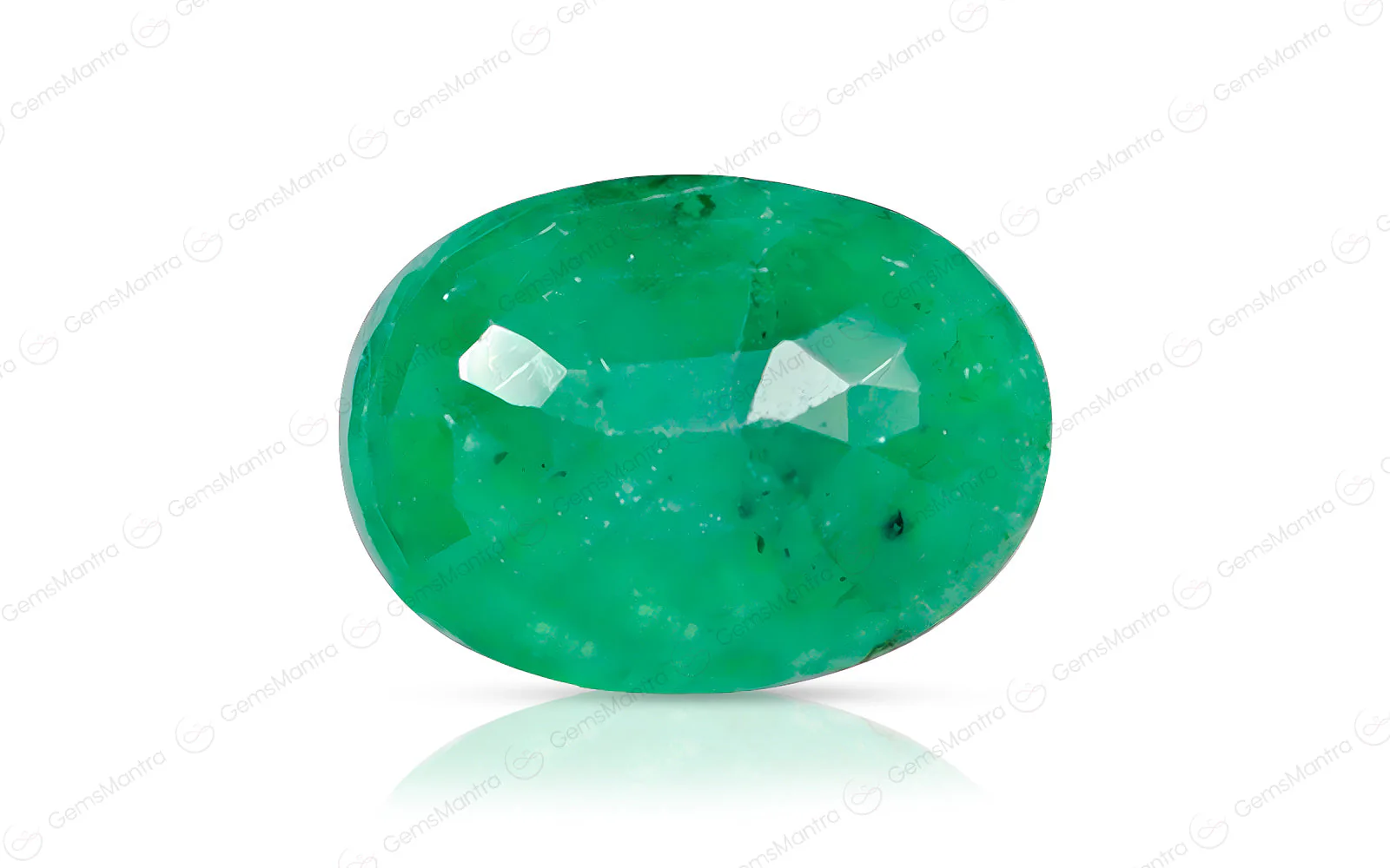 Emerald (Panna) – 7.12 Carat / 7.8 Ratti [GM09713] - Image 2
