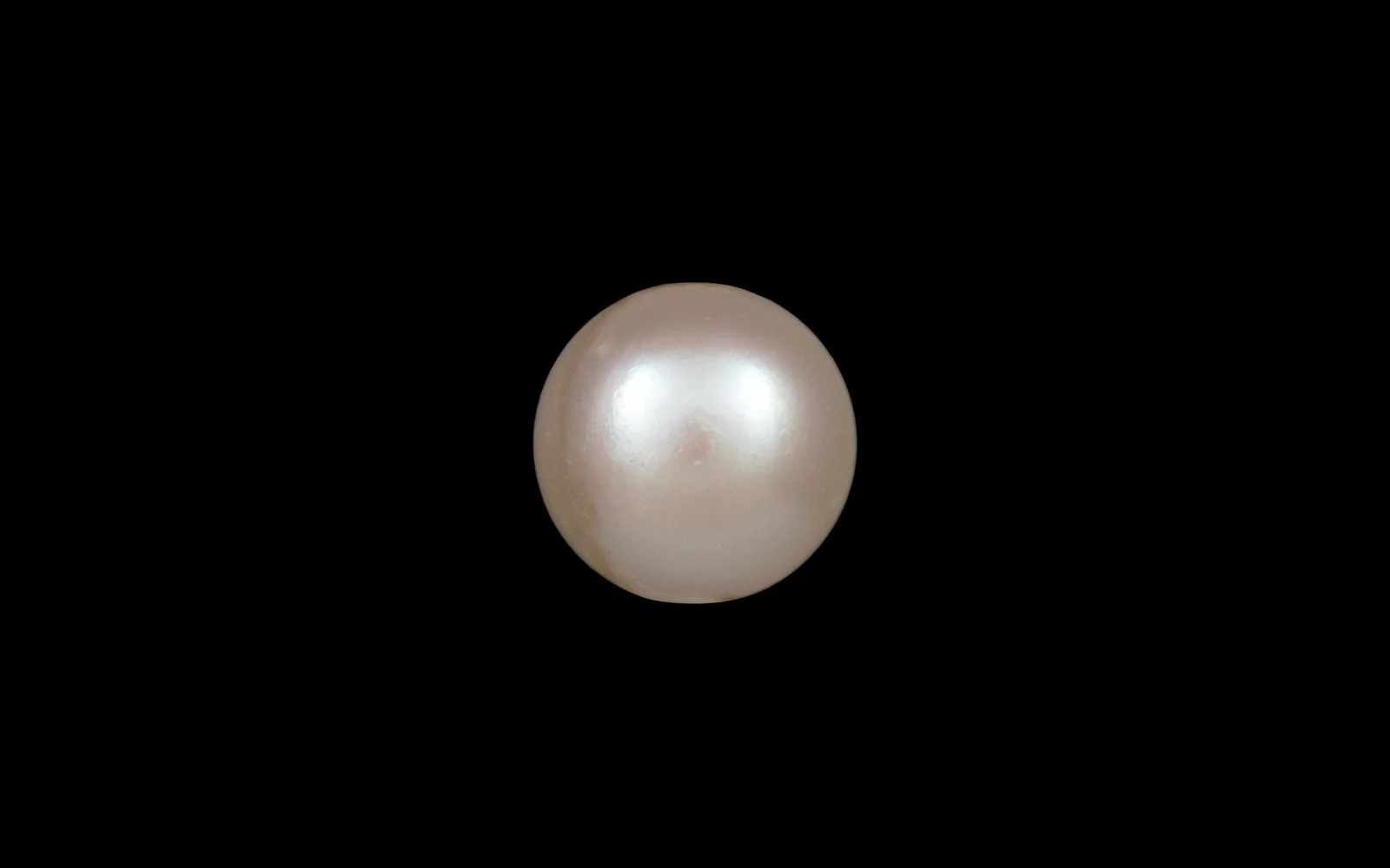 Pearls (Moti) – 4.71 Carat / 5.2 Ratti [GM09915] - Image 2