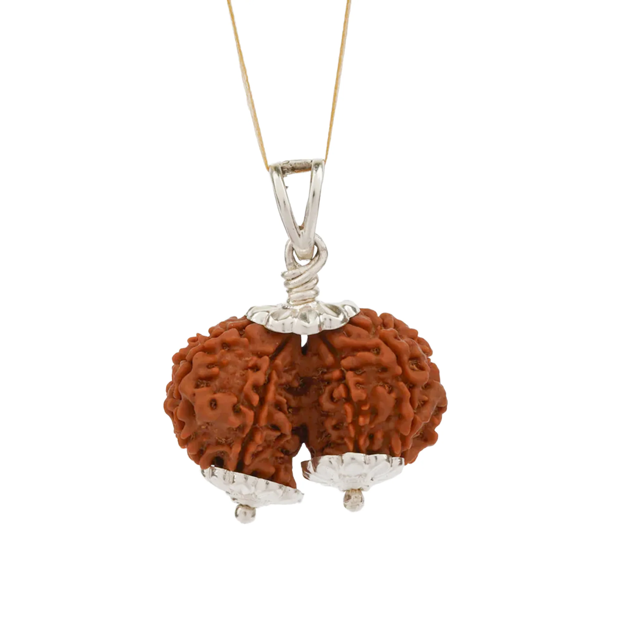 Gauri Shankar Rudraksha – Original Nepali Bead - Image 3