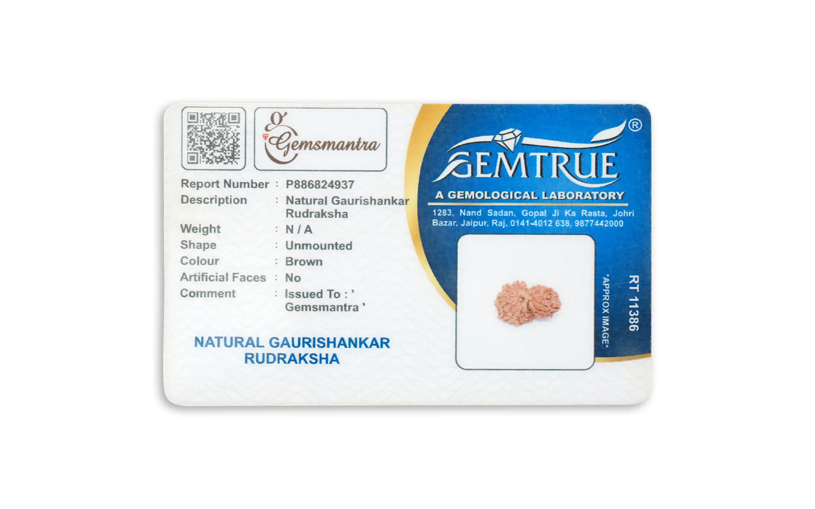 Gauri Shankar Rudraksha – Original Nepali Bead - Image 4