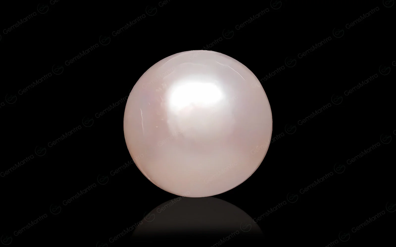Pearl (Moti) – 6.1 Carat / 6.7 Ratti [GM09639]