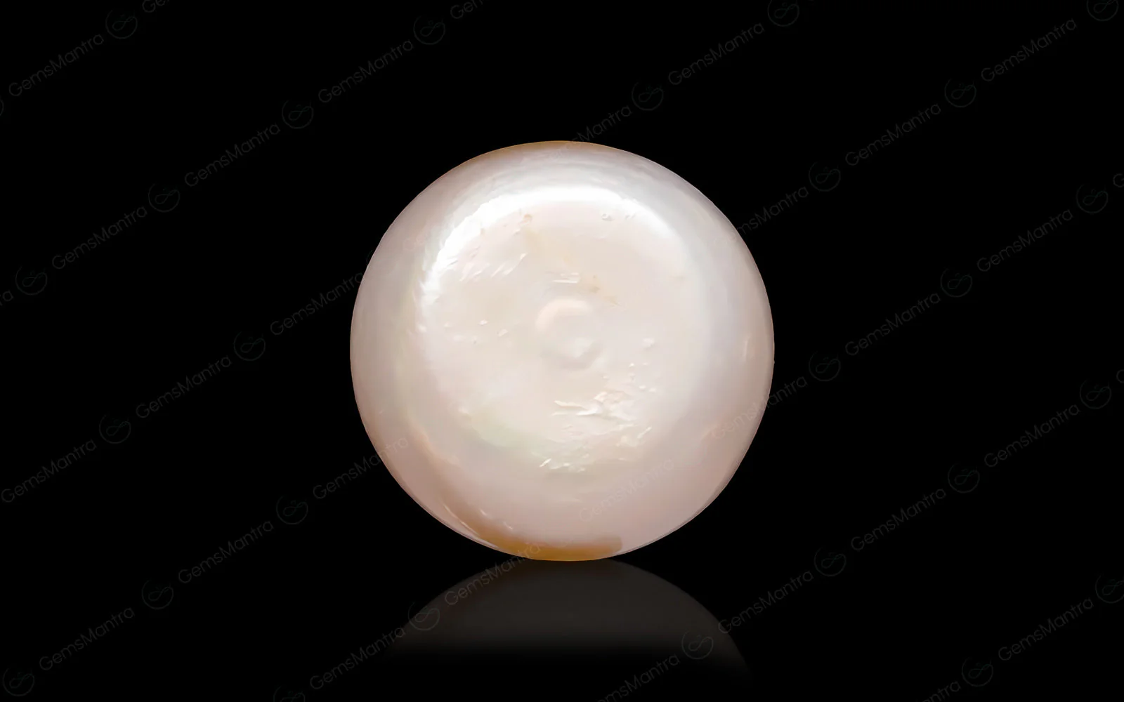 Pearl (Moti) – 6.1 Carat / 6.7 Ratti [GM09639] - Image 2
