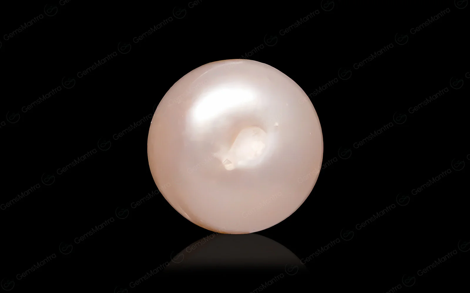 Pearl (Moti) – 5.8 Carat / 6.4 Ratti [GM09641] - Image 2