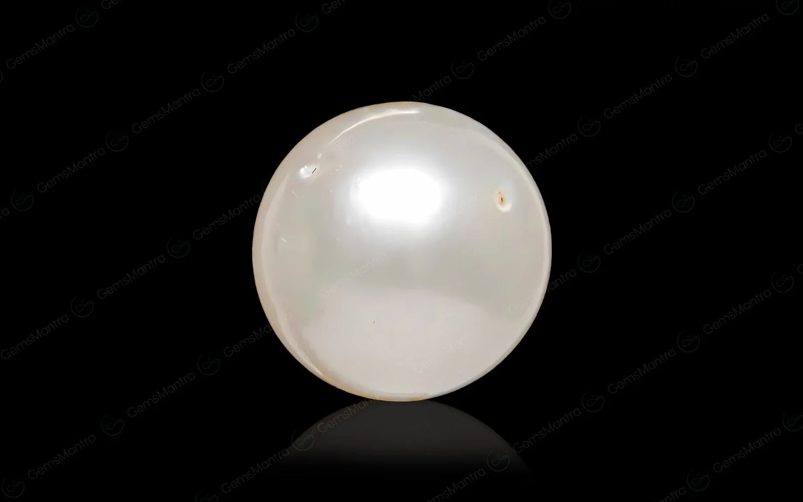 Pearl (Moti) – 4.9 Carat / 5.4 Ratti [GM09692]