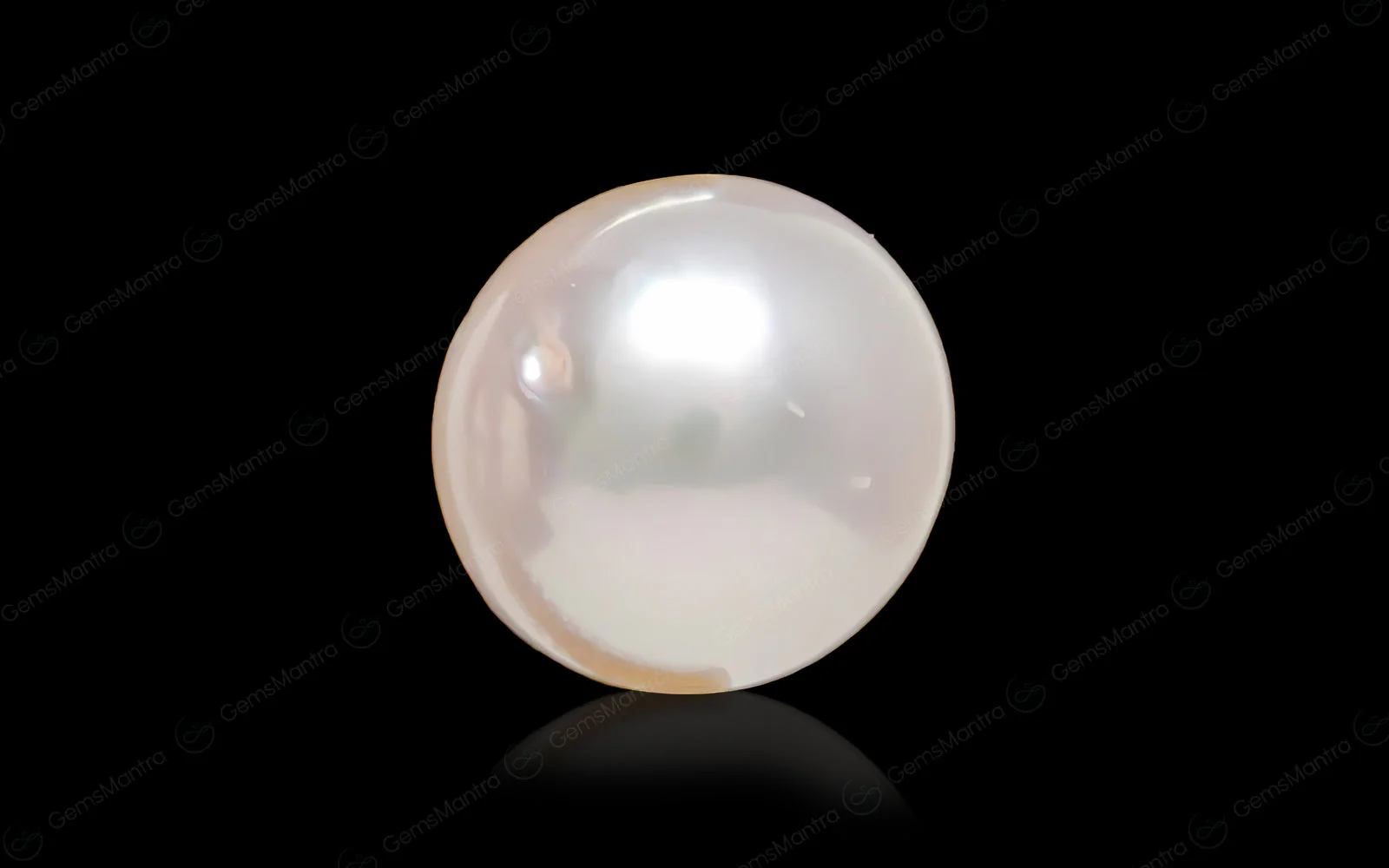 Pearl (Moti) – 6.3 Carat / 6.9 Ratti [GM09701]