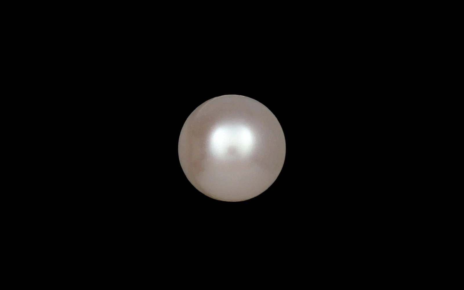 Pearls (Moti) – 4.67 Carat / 5.1 Ratti [GM09907] - Image 2