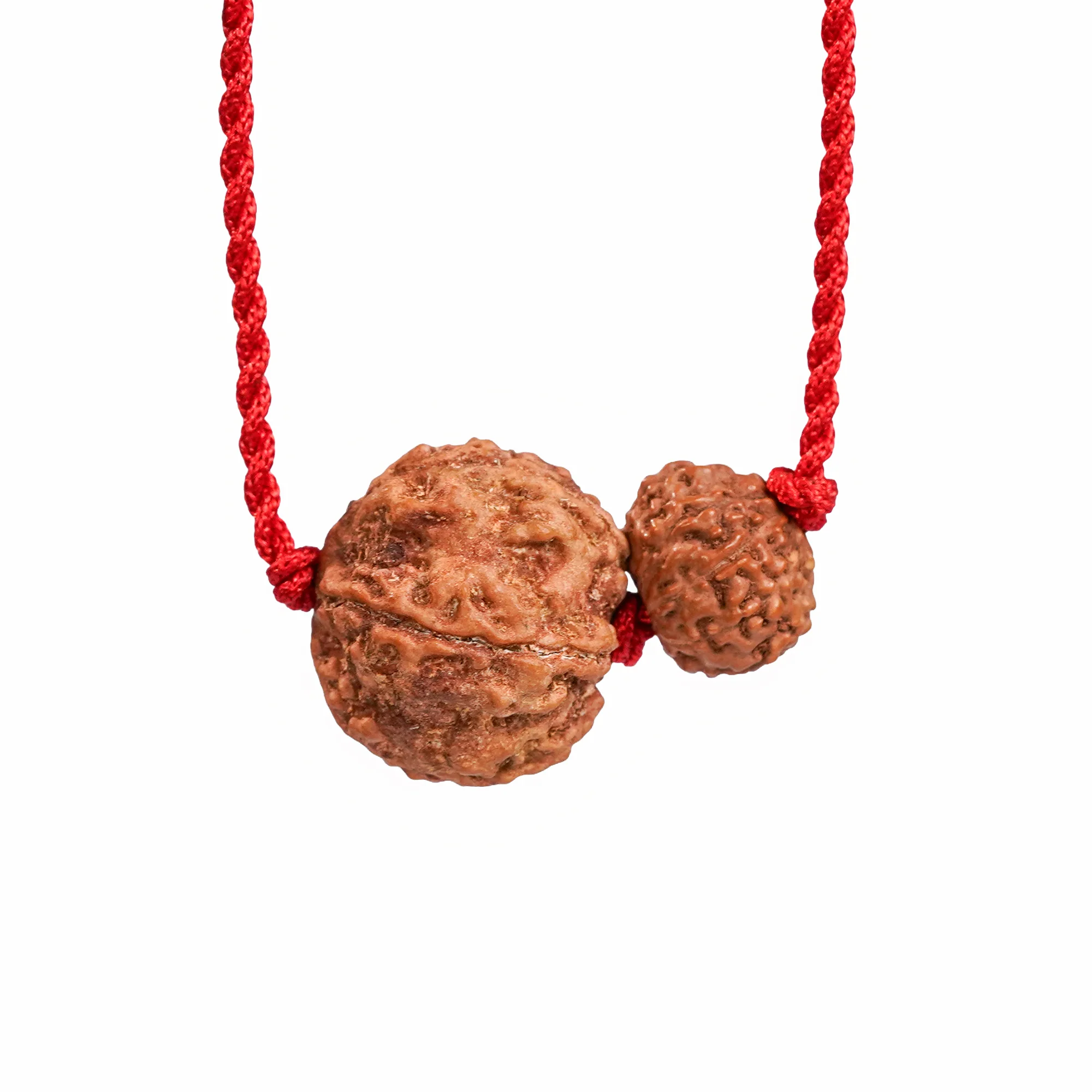Pisces Zodiac Rudraksha Kavach - Image 2