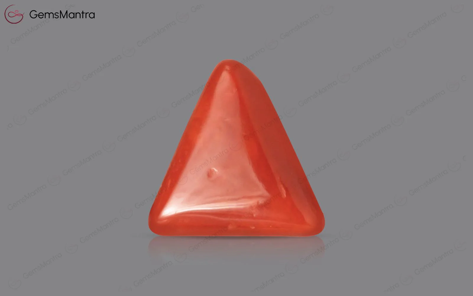 Red Coral (Moonga) – 2.82 Carat / 3.1 Ratti [GM01658]
