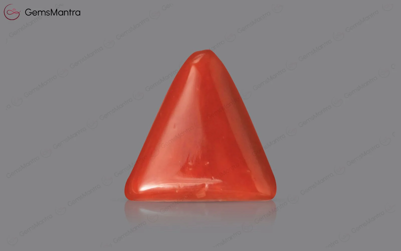 Red Coral (Moonga) – 2.82 Carat / 3.1 Ratti [GM01658] - Image 2