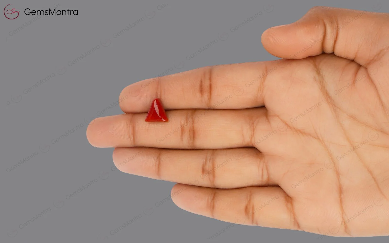 Red Coral (Moonga) – 2.82 Carat / 3.1 Ratti [GM01658] - Image 3