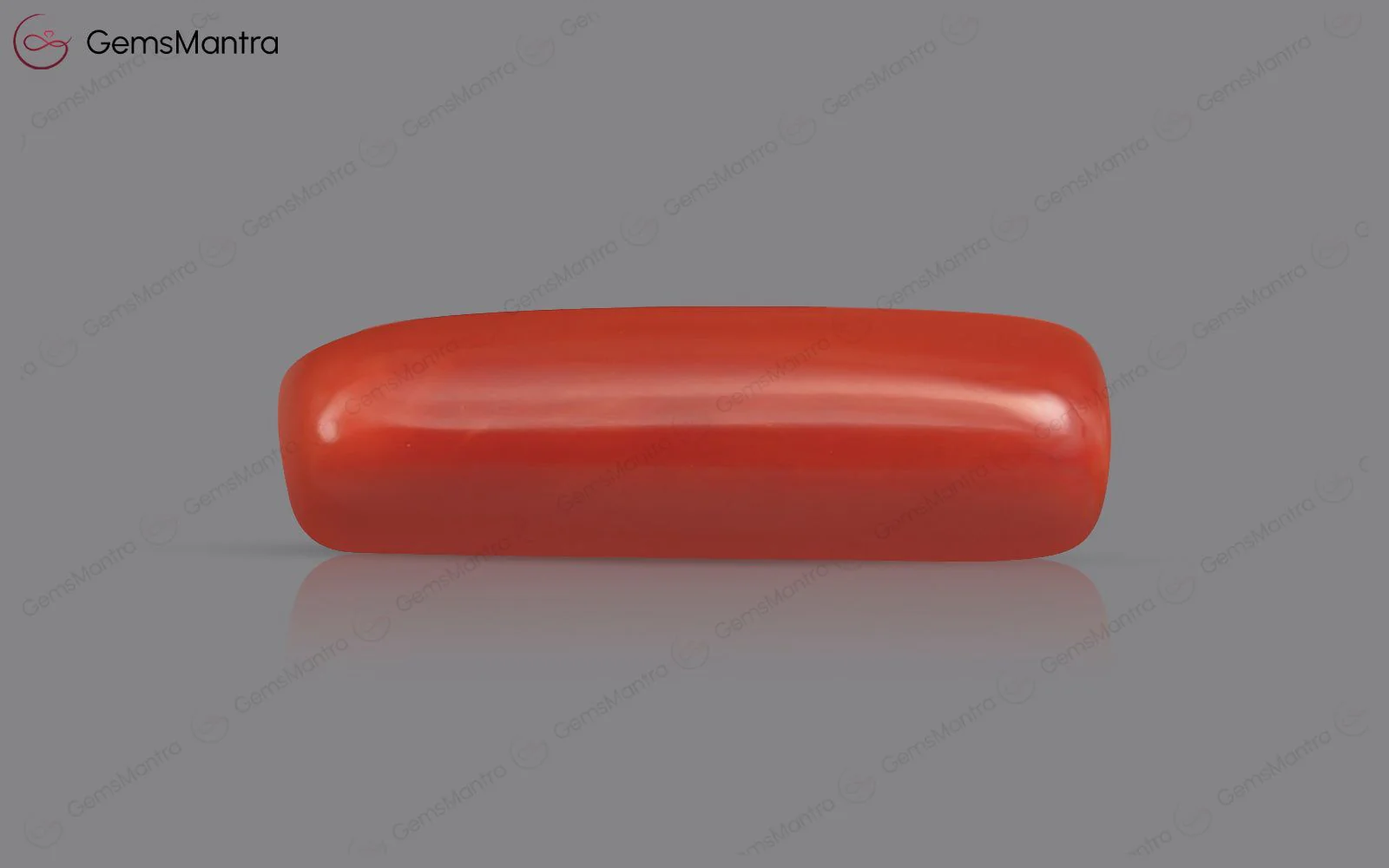 Red Coral (Moonga) – 7.62 Carat / 8.4 Ratti [GM01923]