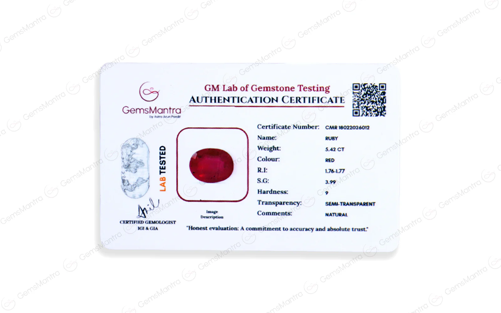 Ruby (Manik) – 5.42 Carat / 6 Ratti [GM09219] - Image 4