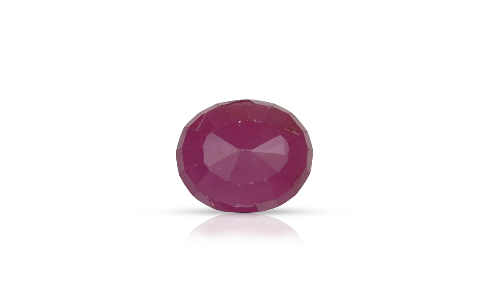 Ruby (Manik) – 6.5 Carat / 7.2 Ratti [GM09650] - Image 2