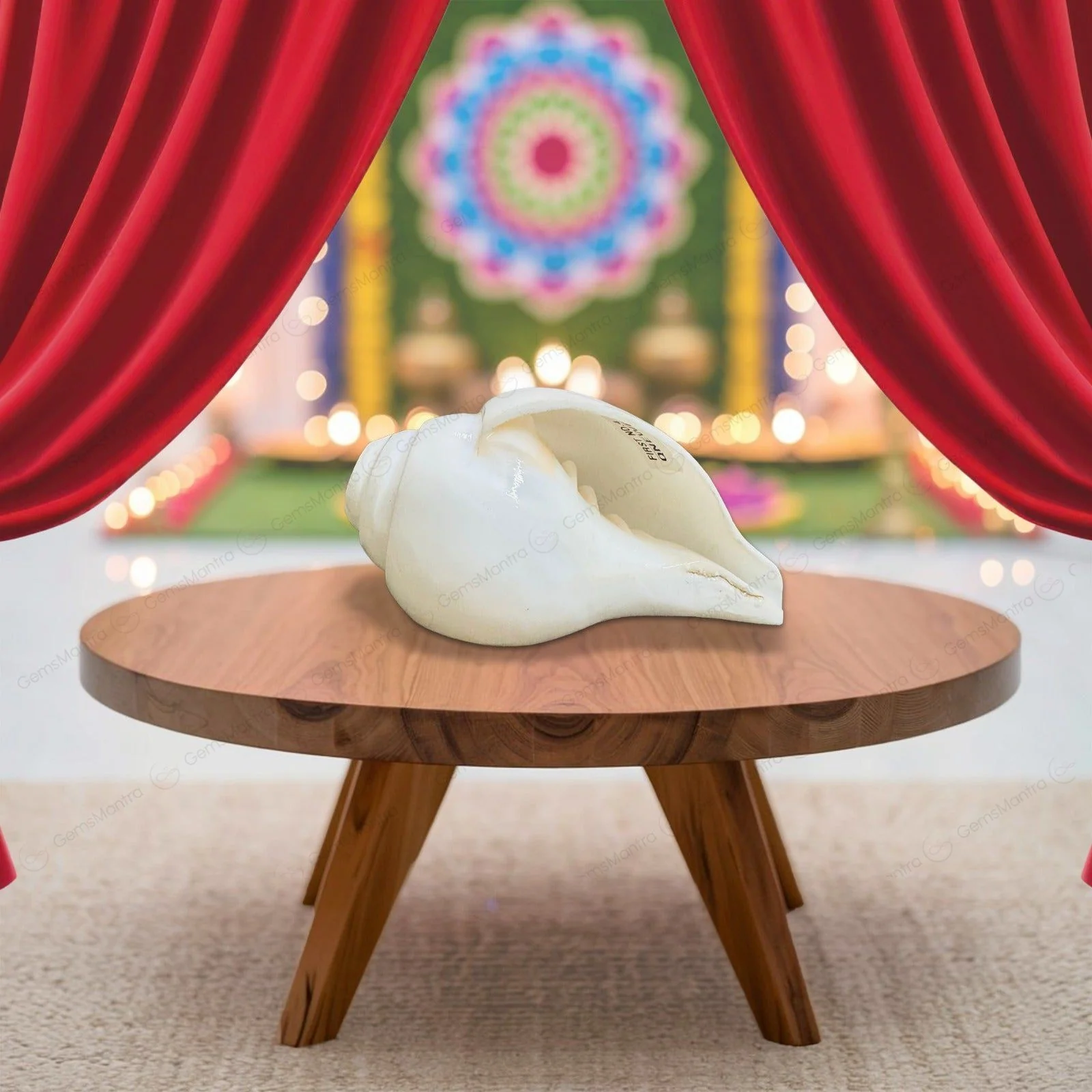 Divine Baynavarti/Vaamvarti Shankh – Variant 1 - Image 5