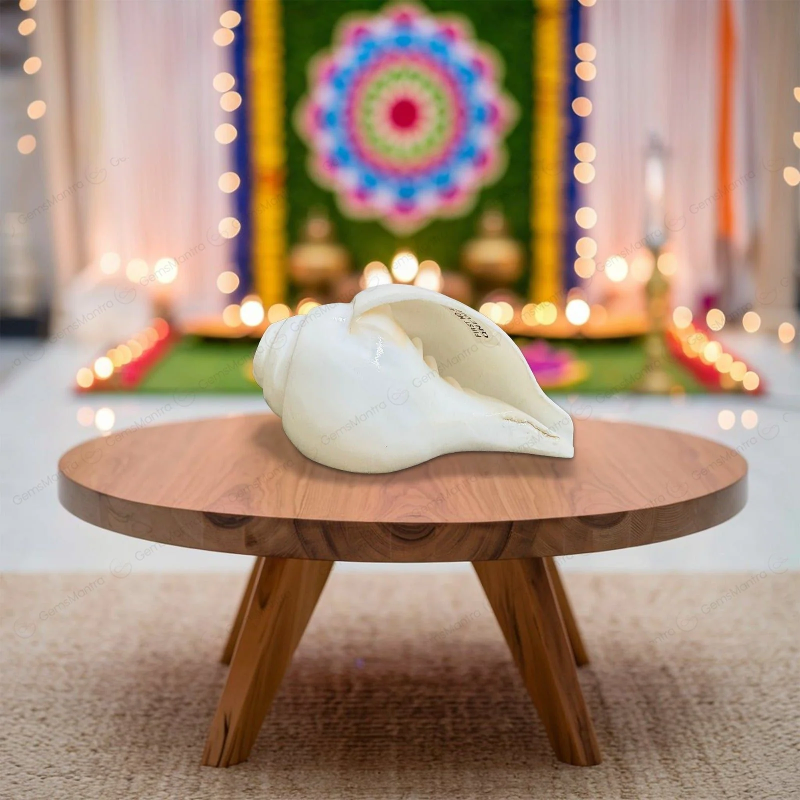Divine Baynavarti/Vaamvarti Shankh – Variant 1 - Image 6