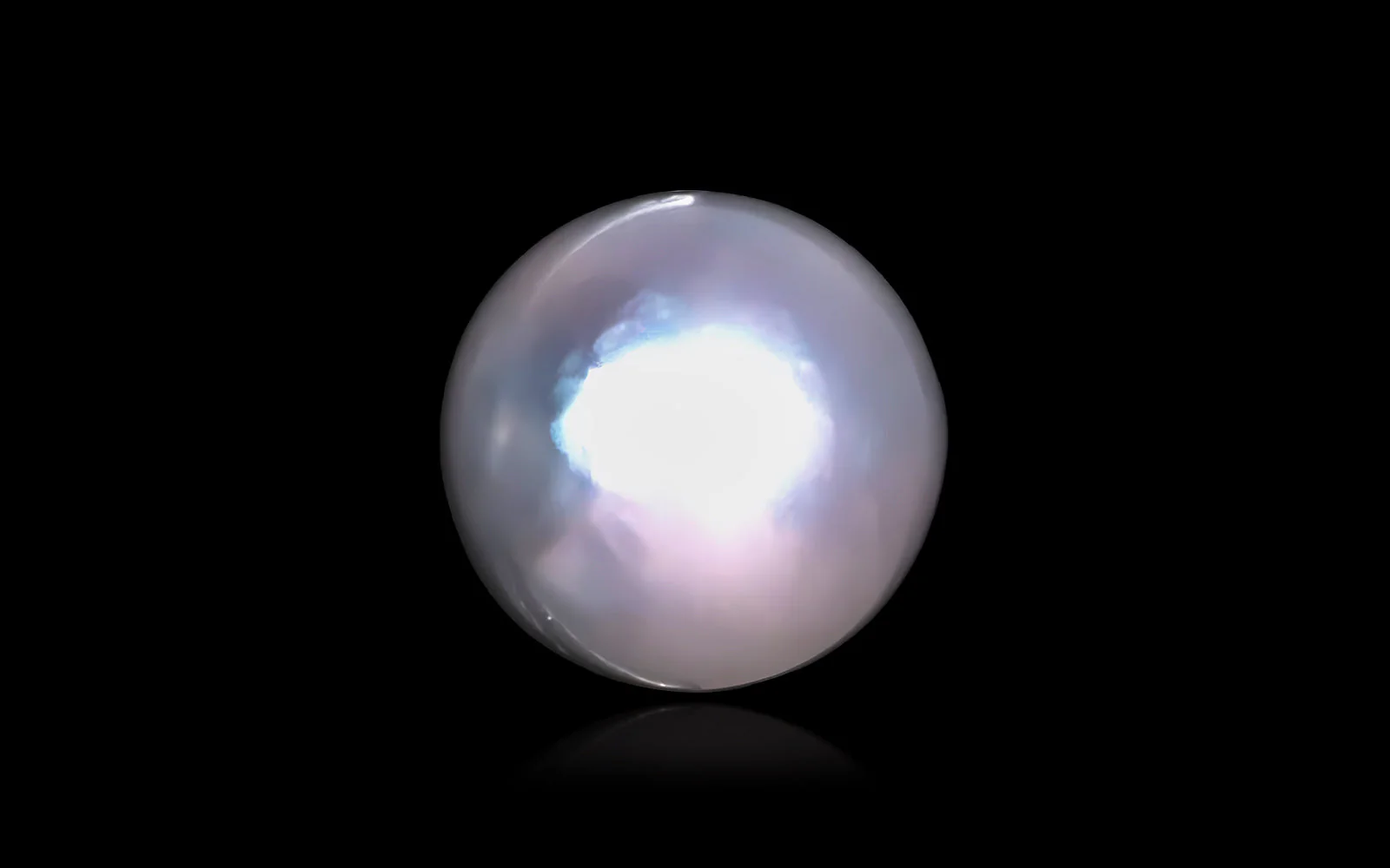 South Sea Pearl - Image 3