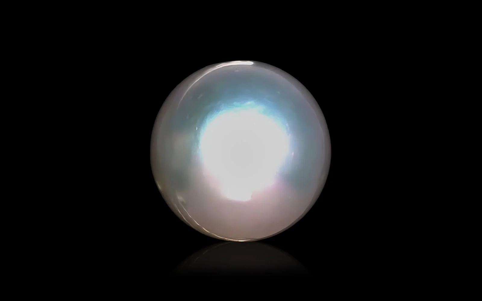 South Sea Pearl - Image 5