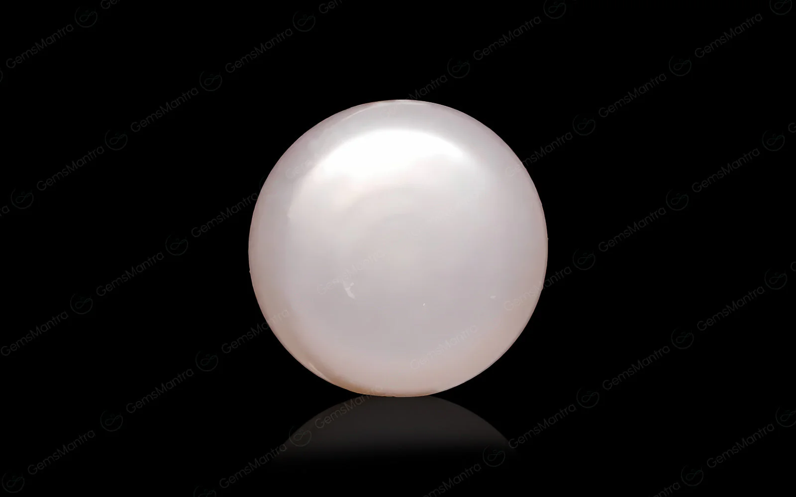 South Sea Pearl - Image 7