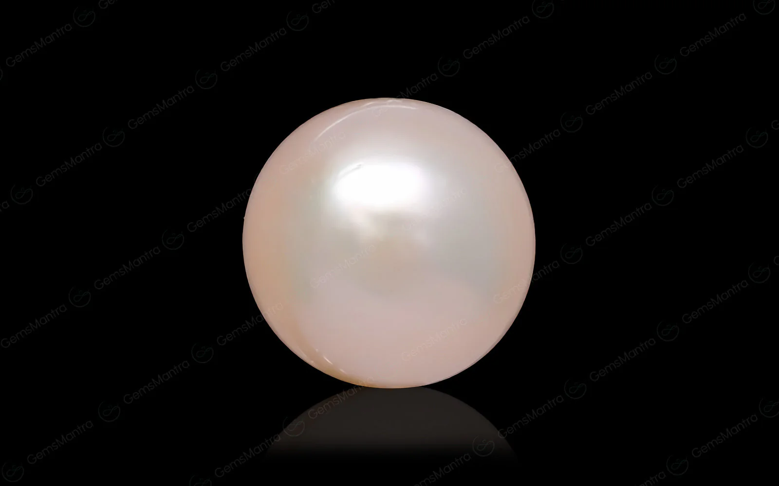 South Sea Pearl - Image 8