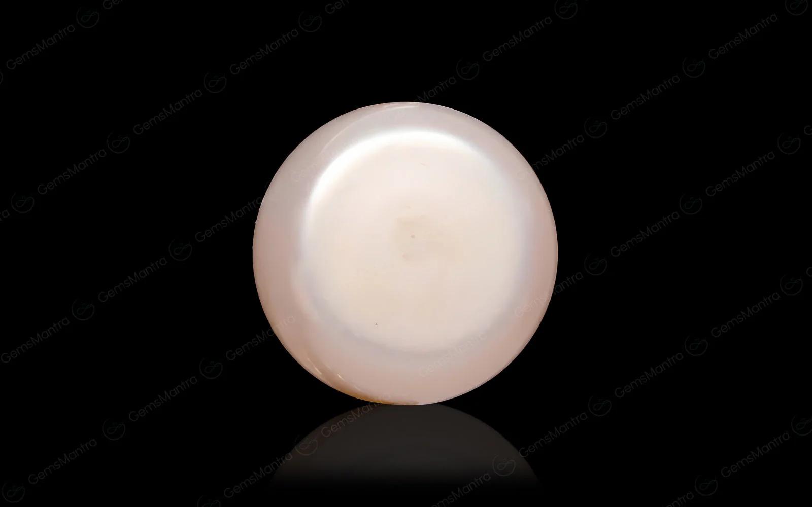 South Sea Pearl - Image 9