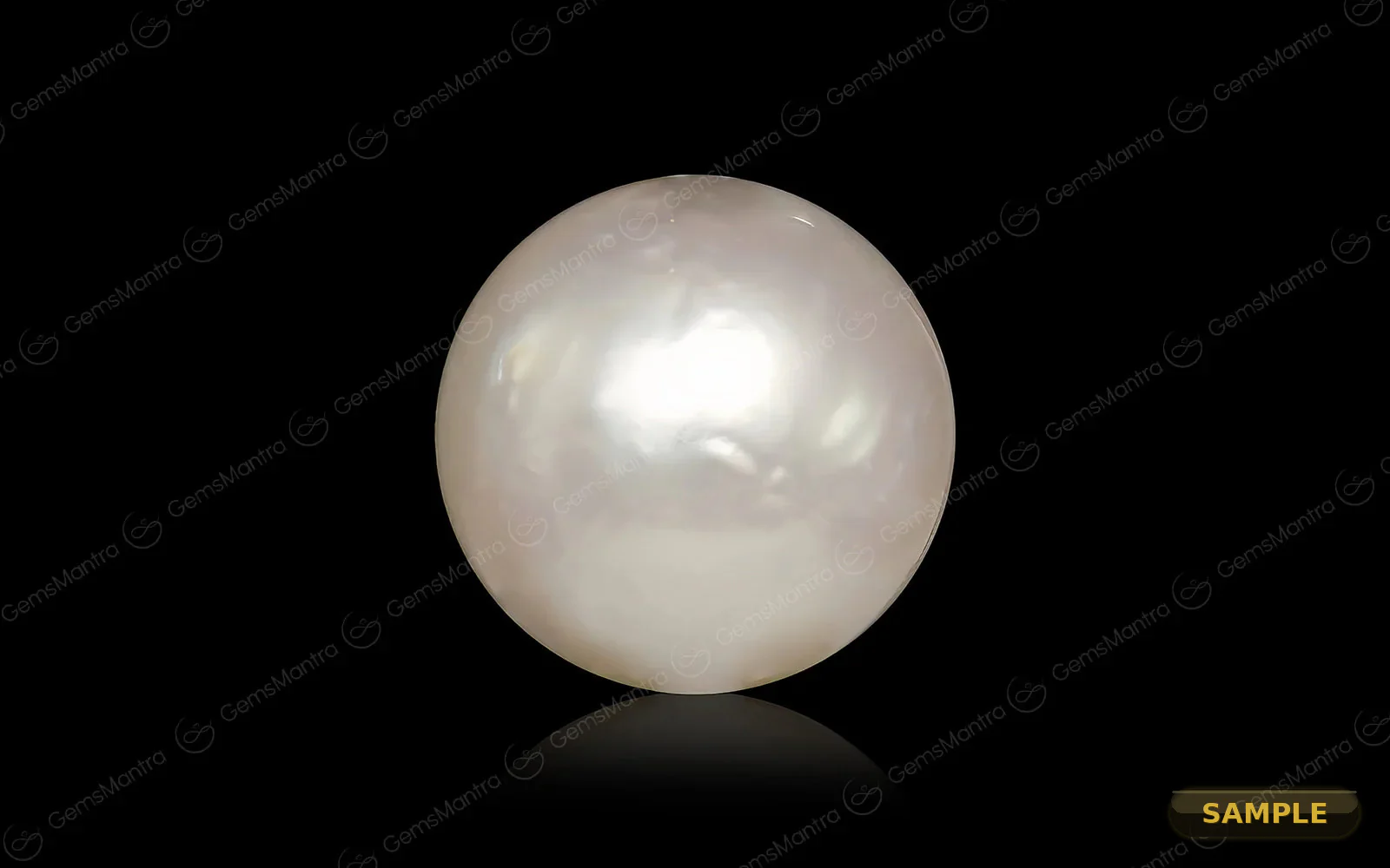 South Sea Pearl - Image 2
