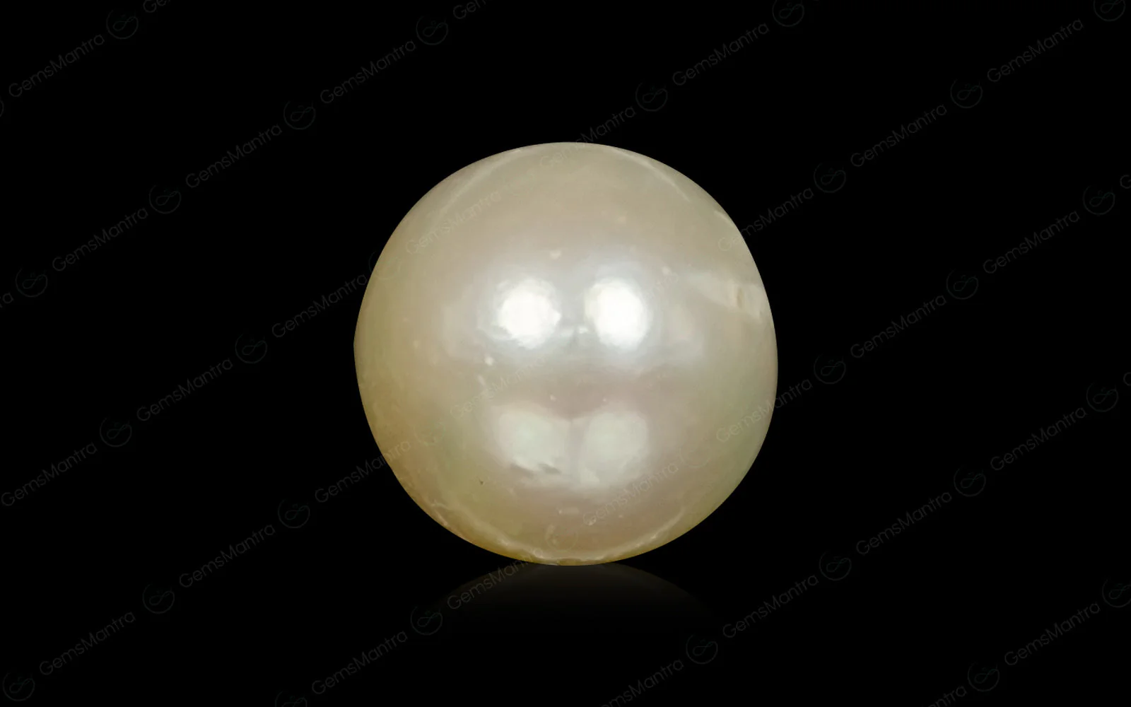South Sea Pearl (Moti) – 3.24 Carat / 3.6 Ratti [GM02989]