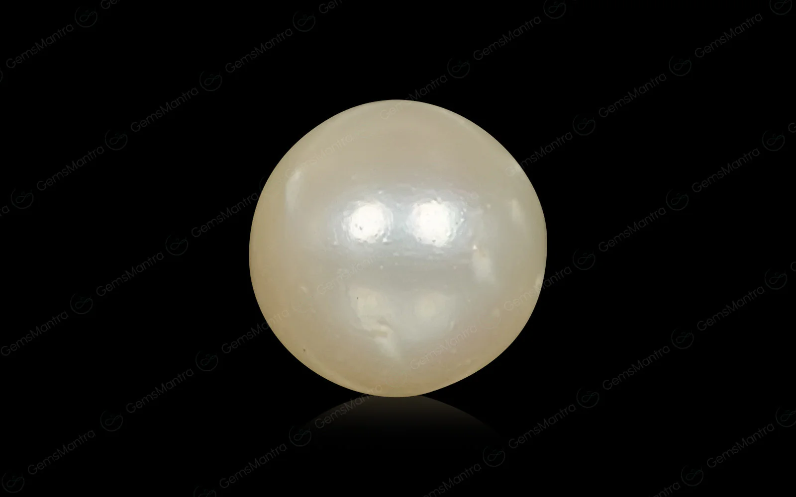 South Sea Pearl (Moti) – 6.59 Carat / 7.2 Ratti [GM03011]