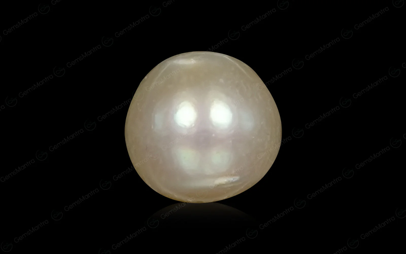 South Sea Pearl (Moti) – 3.53 Carat / 3.9 Ratti [GM03042]