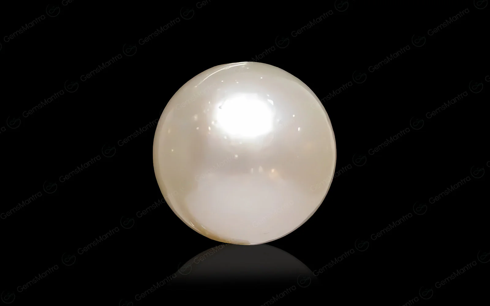 Pearl (Moti) – 4.9 Carat / 5.4 Ratti [GM09695] - Image 2